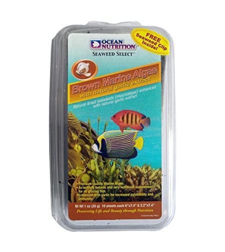 אצות ים חומות בתוספת שום אושן נוטרישן 12 גרם - Ocean Nutrition Brown Marine Algea 12g