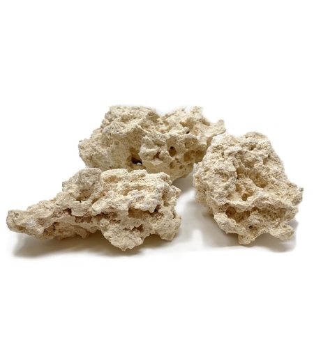 סלעים טבעיים קריב סי South Seas דגם בסיס למסלעה 18.1 ק