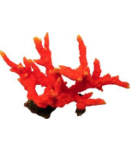 דקורציה אלמוג דגם SH 329 O למים מלוחים ומתוקים - Coral decoration model SH 329 O for salt and fresh water