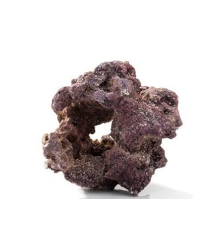 סלעים חיים לייף רוק קריב סי דגם דונאטס DONUTS למסלעה 4 יח' 17.5 ס