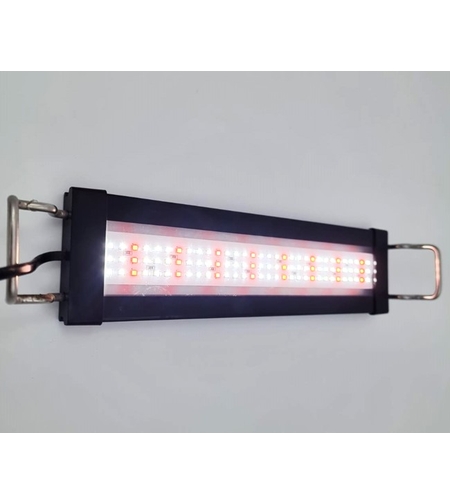 תאורת לד לבן+אדום למים מתוקים ומלוחים אקס לד 20 ס