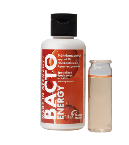 בקטו אנרגי פאונה מארין 100 מ