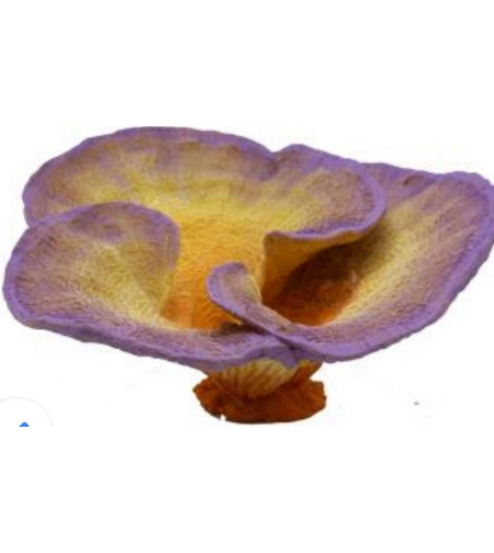 דקורציה אלמוג דגם SH 471 למים מלוחים ומתוקים - Coral decoration model SH 471 for salt and fresh water