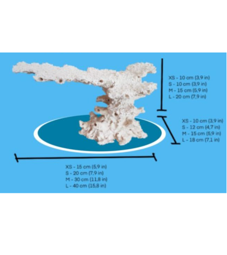 מסלעה קרמית אקווה קרמיק צורת ענף - Aqua Ceramic Aquascape Branch