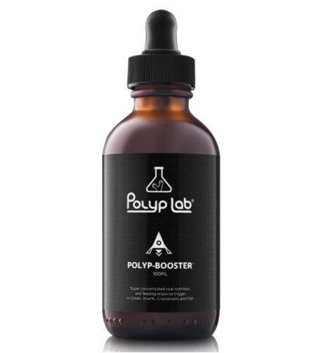 פוליפ לאב פוליפ בוסטר 100 מ