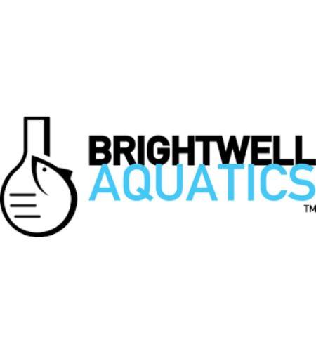 ברייטוול - Brightwell