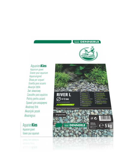 חצץ טבעי פלנט הנטר ריבר דנרלי גדול (8-12מ