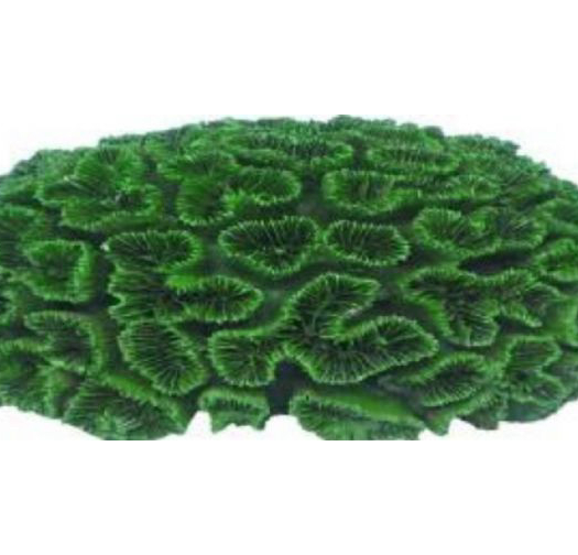 דקורציה אלמוג דגם AC 2108 למים מלוחים ומתוקים - Coral decoration model AC 2108 for salt and fresh water