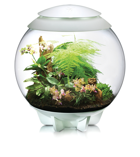 טרריום אואזה ביורב איר 60 לבן - biOrb AIR 60 white