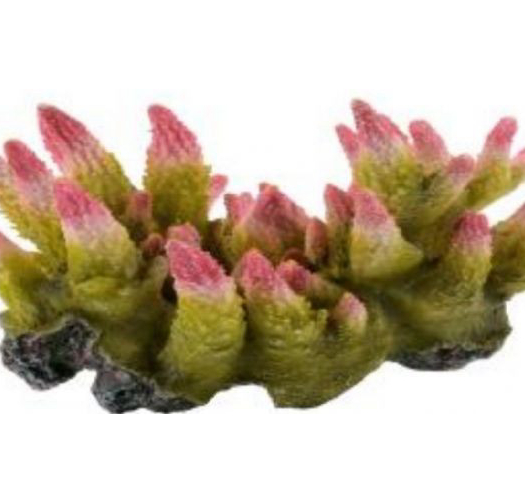 דקורציה אלמוג דגם HCL 183 S למים מלוחים ומתוקים - Coral decoration model HCL 183 S for salt and fresh water