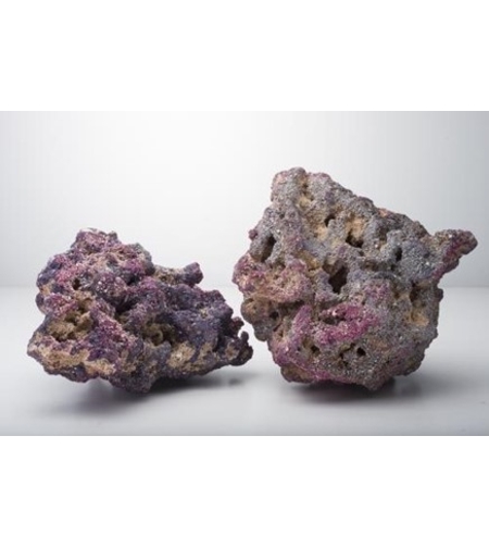 סלעים חיים לייף רוק קריב סי דגם אורגינל למסלעה 20 ק