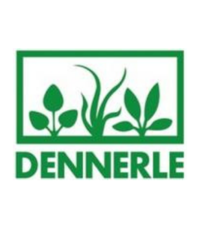 דנרלי - DENNERLE
