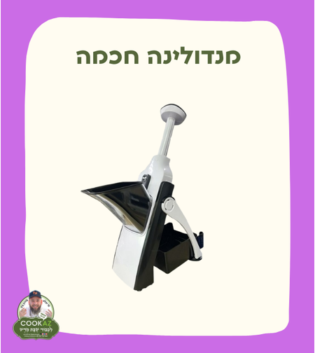 מנדולינה חכמה