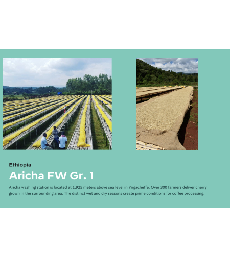 Yirgacheffe Aricha Adorsi washed G1