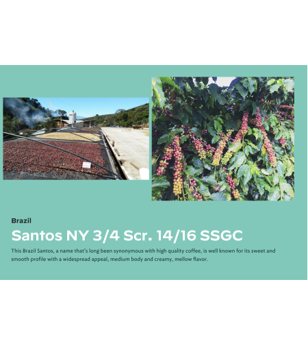 Brazil NY 3/4 14/16 GC MC Decaf