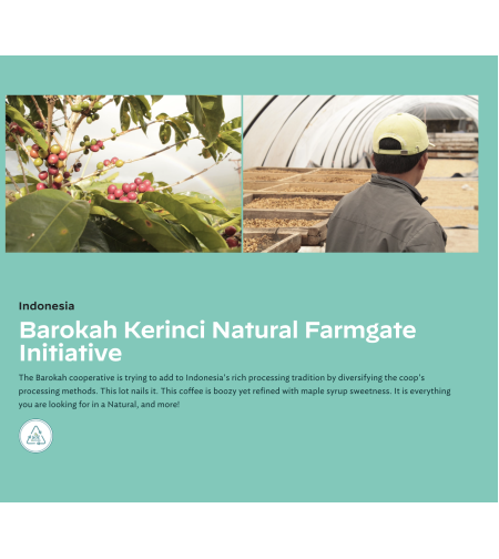 Kerinci Barokah Bersama natural Farmgate Initiative