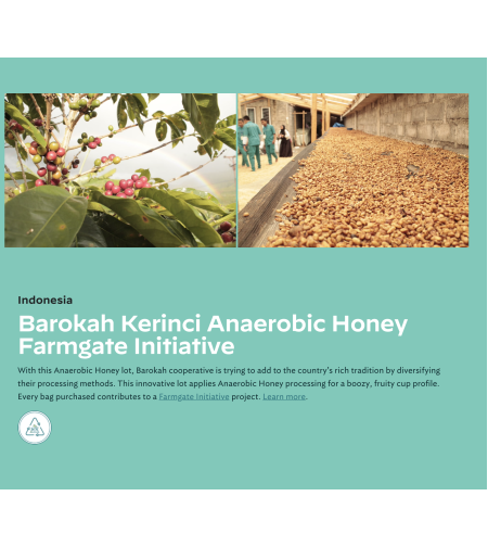 Kerinci Barokah Bersama anaerobic honey Farmgate Initiative