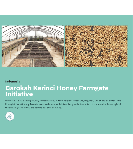 Kerinci Barokah Bersama honey Farmgate Initiative