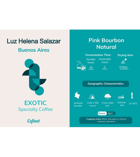 פולי קפה קולומביה- Buenos Aires / Luz Helena Quindio Pink Bourbon Natural ANAEROBIC ( 1 ק