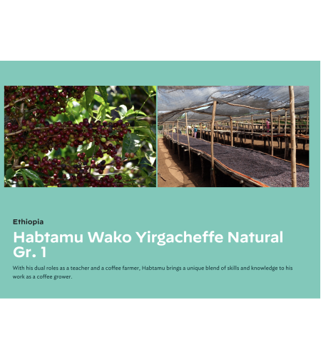 Ethiopia Habtamu Wako Yirgacheffe Natural Gr. 1
