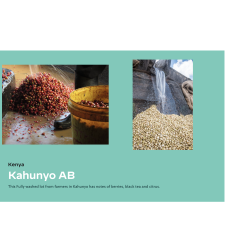 Kenya Kahunyo AB