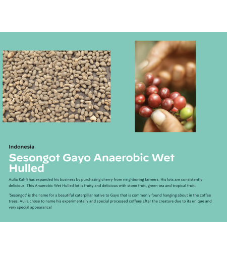 Indonesia Sesongot Gayo Anaerobic Wet Hulled