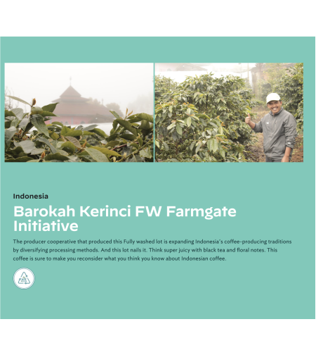 Kerinci Barokah Bersama washed Farmgate Initiative