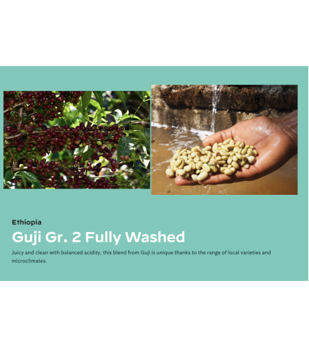 Ethiopia Guji Gr. 2 Fully Washed