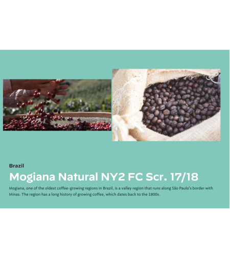 Brazil NY 2 17/18 SS FC Mogiana