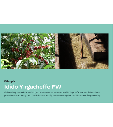 Ethiopia Yirgacheffe Idido Washed G1