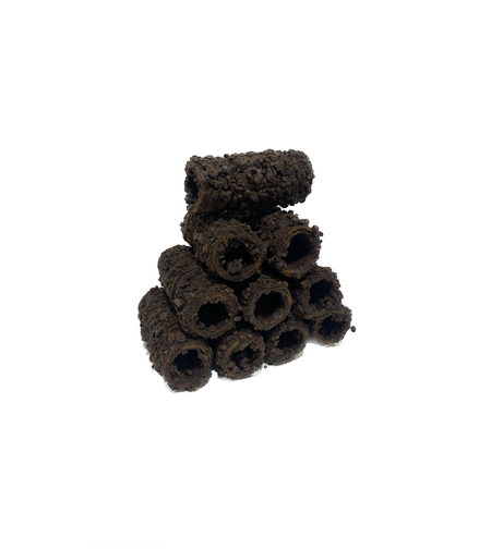 גליליות קראמבל שחור