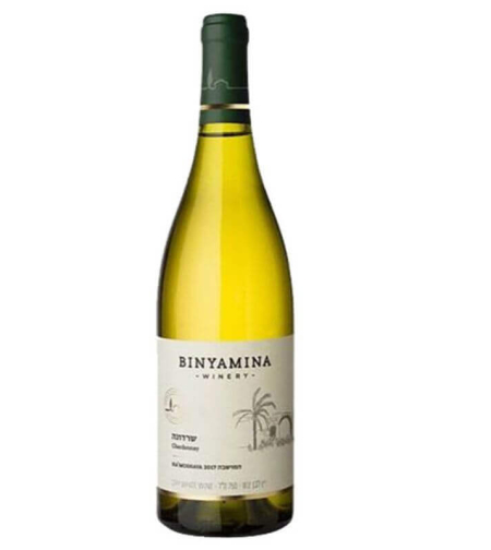 Binyamina Hamoshava Shardone Dry
