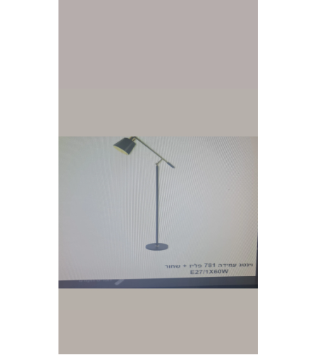 וינטג עמידה 781 פליז+שחור 1x60W E27