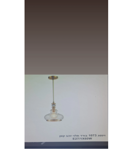 וינטג 1073 בודד תלוי זהב קטן 1x60W E27