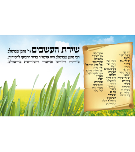 שירת העשבים 17-41