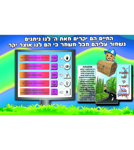 החיים יקרים 7-23