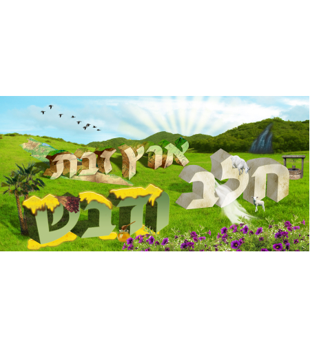 ארץ זבת חלב 13-63