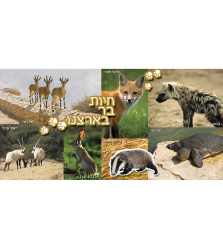 חיות בר 18-708