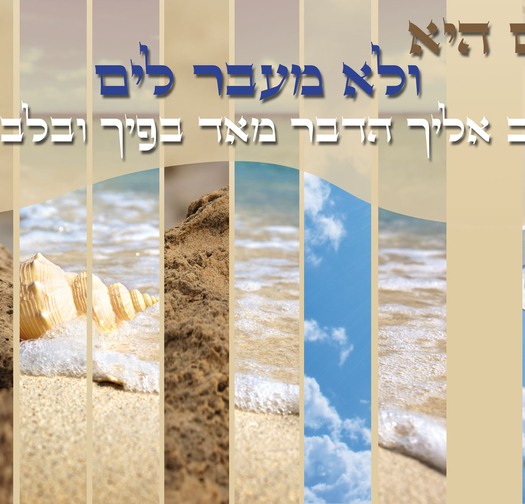 לא בשמים 15-58