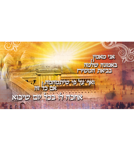 אני מאמין 13-43