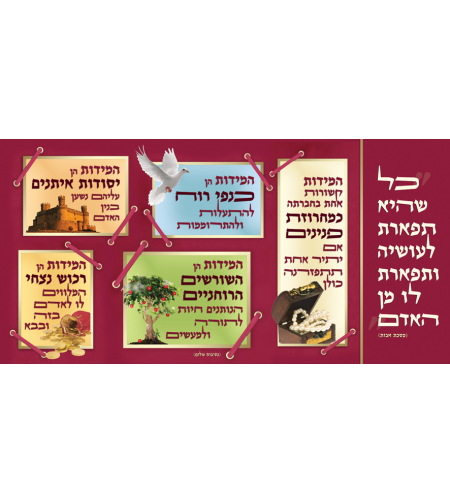 מידות 17-60