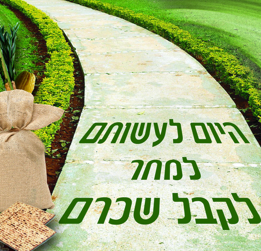 היום לעשותם 7-56