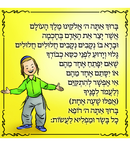 אשר יצר 13-52