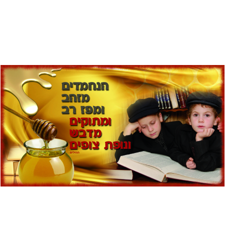 הנחמדים מזהב 7-48