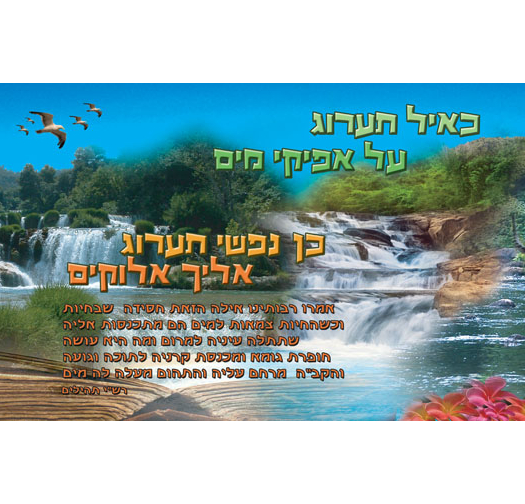 כאיל תערוג 7-42