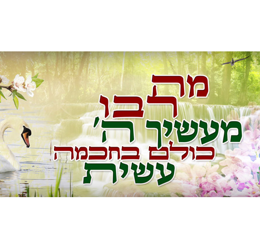 מה רבו 18-119
