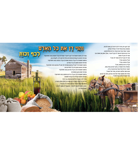 הוי דן 13-33