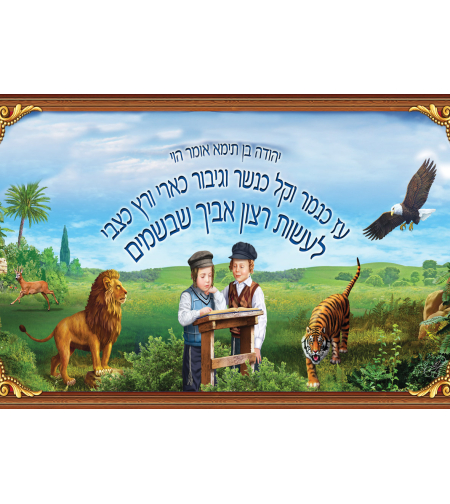 הוי עז 17-56