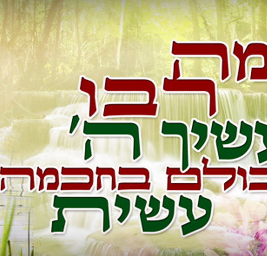מה רבו 17-192