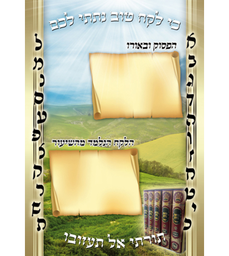 קיר תורה 17-43